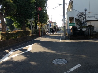image17.jpg